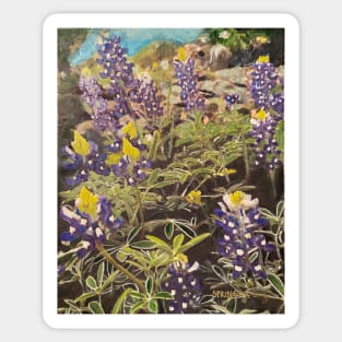 Texas Bluebonnet Season Sticker